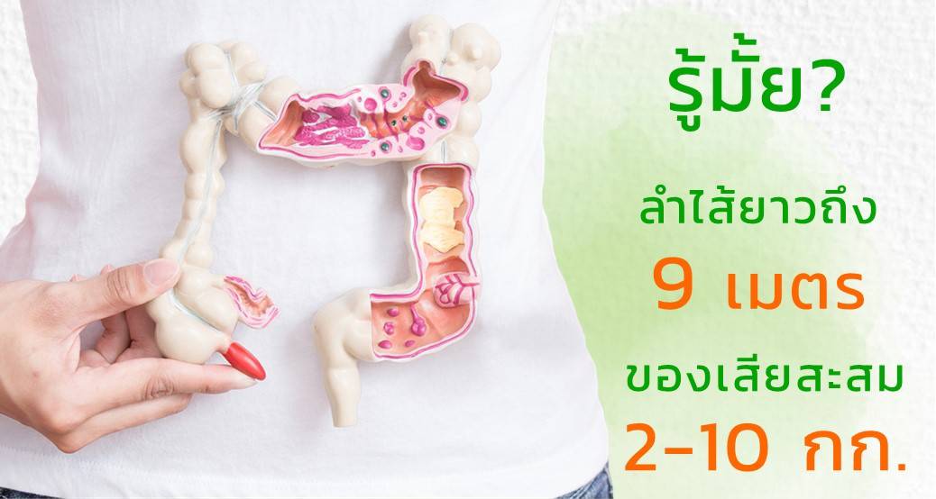 ลำไส้สะสมของเสีย 2-10 ก.ก.