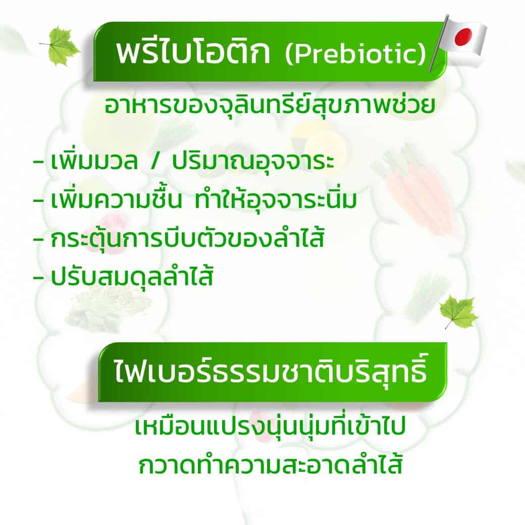 พรีไบโอติก (Prebiotic) อาหารของจุลินทรีย์สุขภาพ