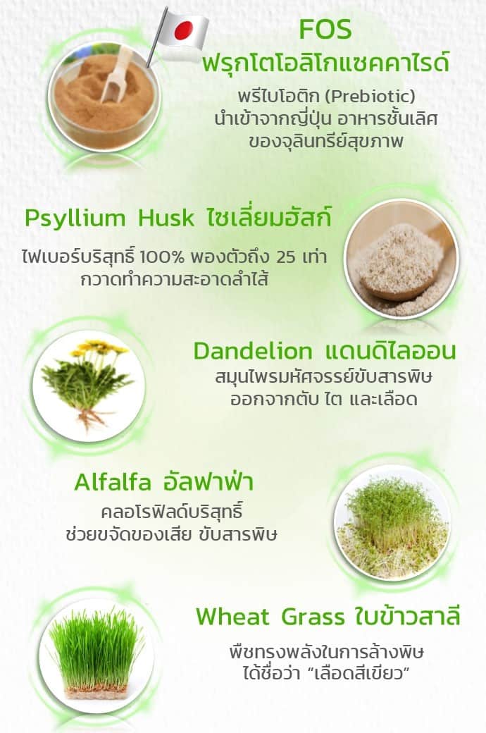 รายละเอียดสารสกัดในบูซโตะไฟเบอร์