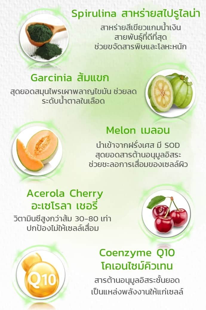 รายละเอียดสารสกัดในบูซโตะไฟเบอร์