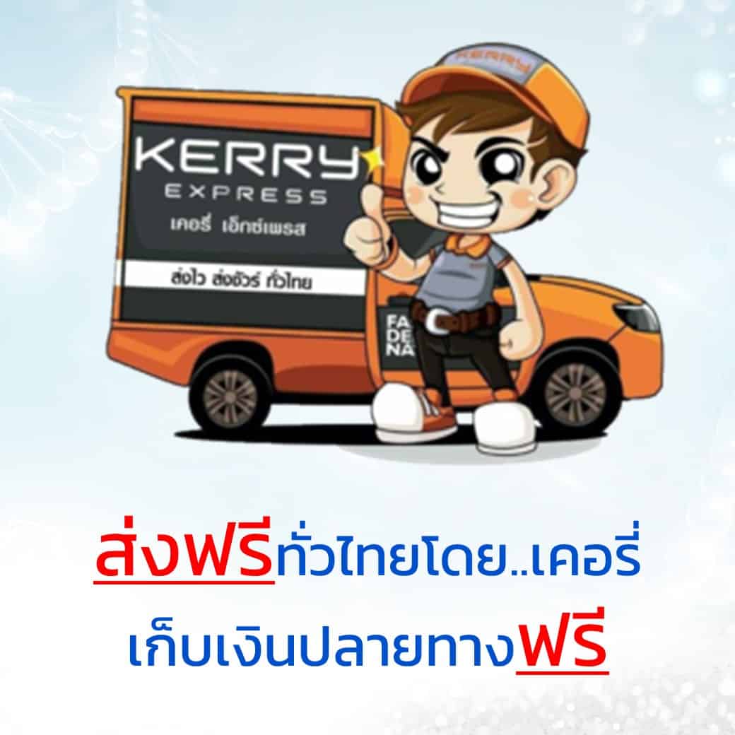 ส่งฟรีทั่วไทย มีเก็บเงินปลายทาง