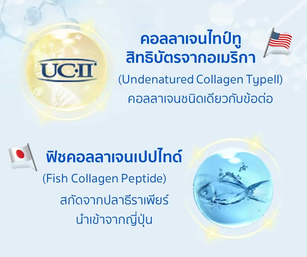 รายละเอียดสารสกัด